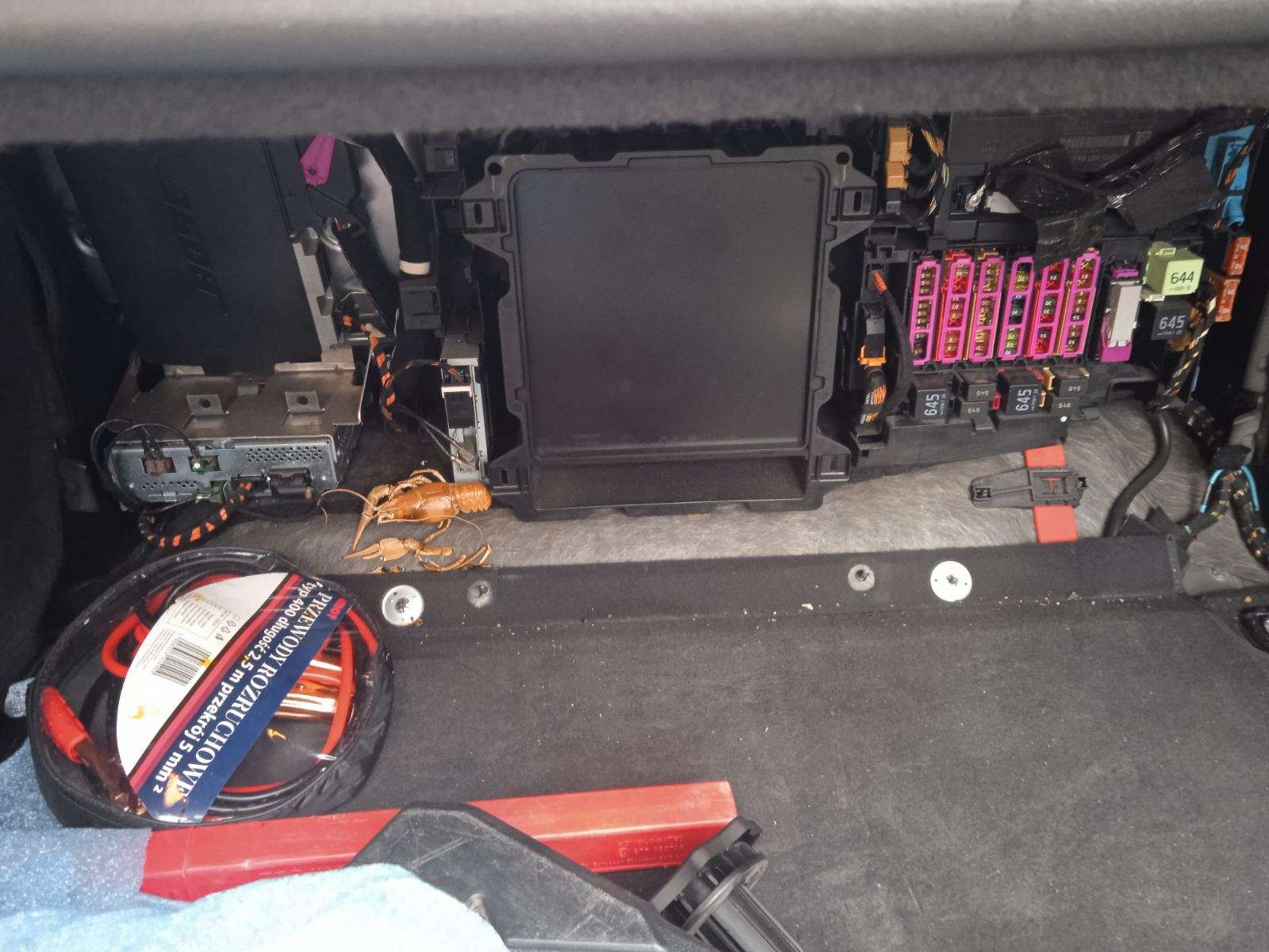 Электрик гродно по машинам